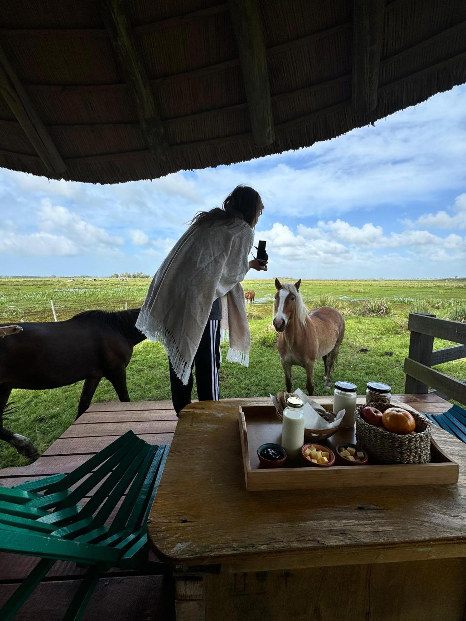 Los Chaja Ecolodge Barra de Valizas Luaran gambar